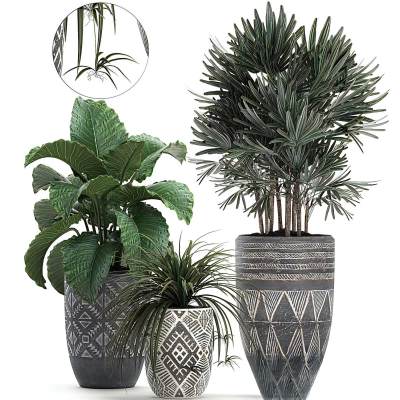 现代绿植盆景-03